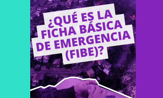 Diccionario de la Vivienda? #21 I ¿QUE ES LA FICHA BÁSICA DE EMERGENCIA (FIBE)?